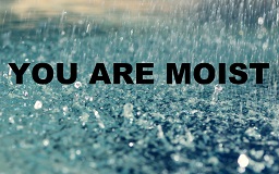Moist